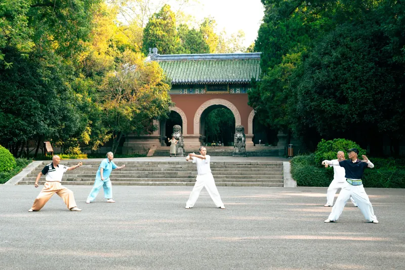 清晨公園裡,幾個人在樹下打太極拳